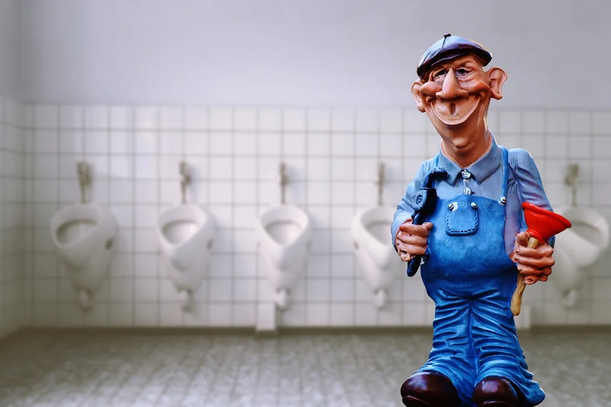 Découverte 2026 : que faire face à un ver très fin dans les toilettes ?