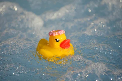 canard en caoutchouc